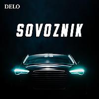 Sovoznik