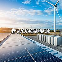老WONG聊能源