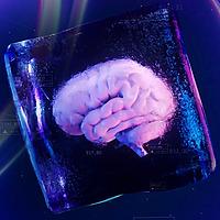 Culture Neurodivergente