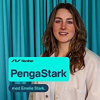 PengaStark
