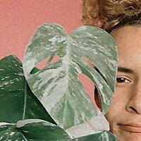 Let's talk and plants.