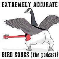 Extremely Accurate Bird Songs (The Podcast)