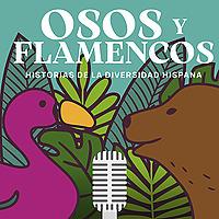Osos y flamencos
