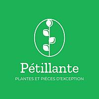 Nature Pétillante (plantes naturelles et bien-être)